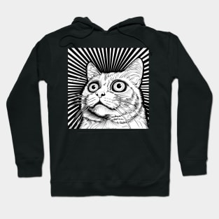 Trippy Cat Goth Grunge Gothic Kitten Alt Punk Weirdcore Hoodie